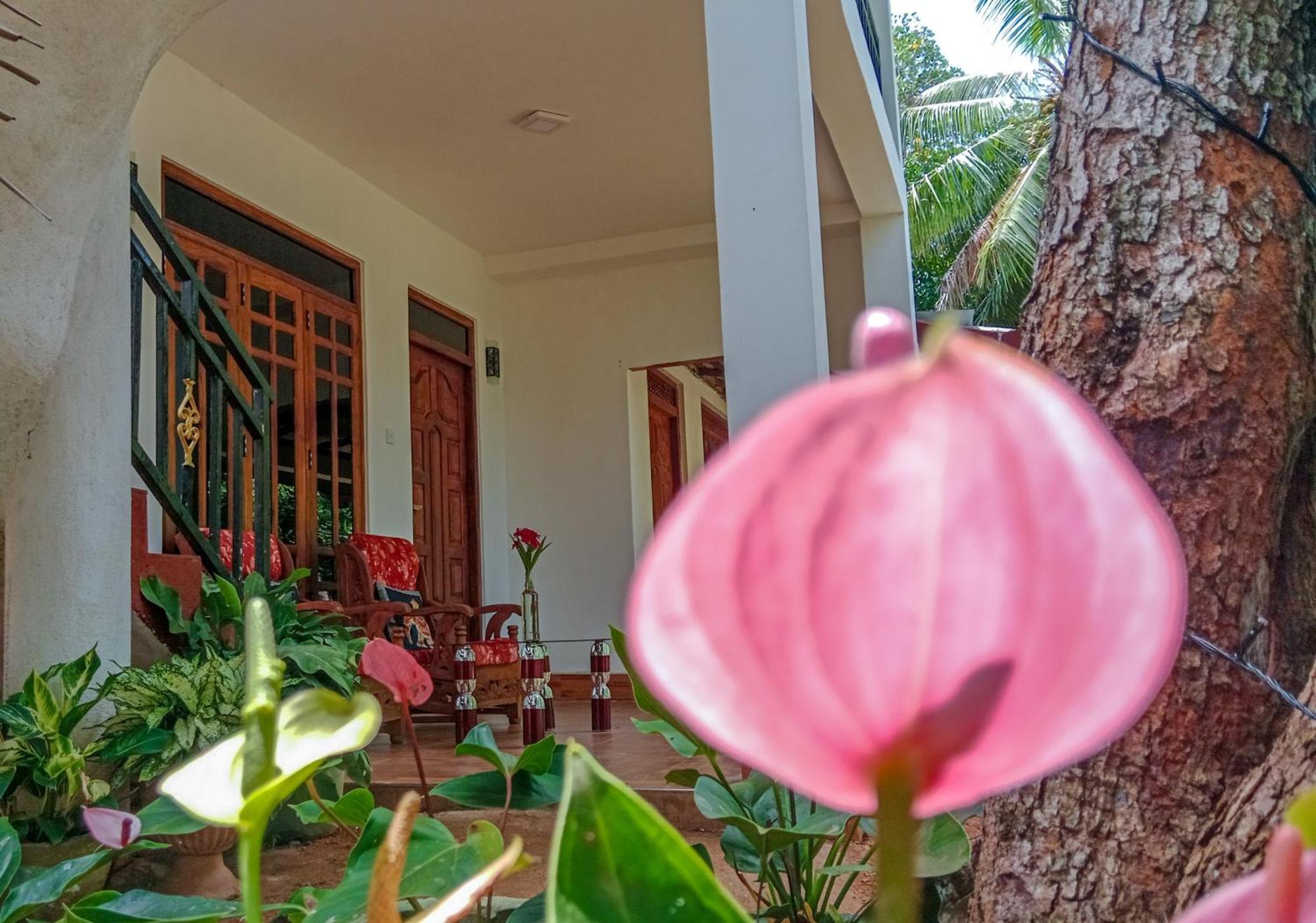 Gimhana Homestay Sigiriya Dış mekan fotoğraf