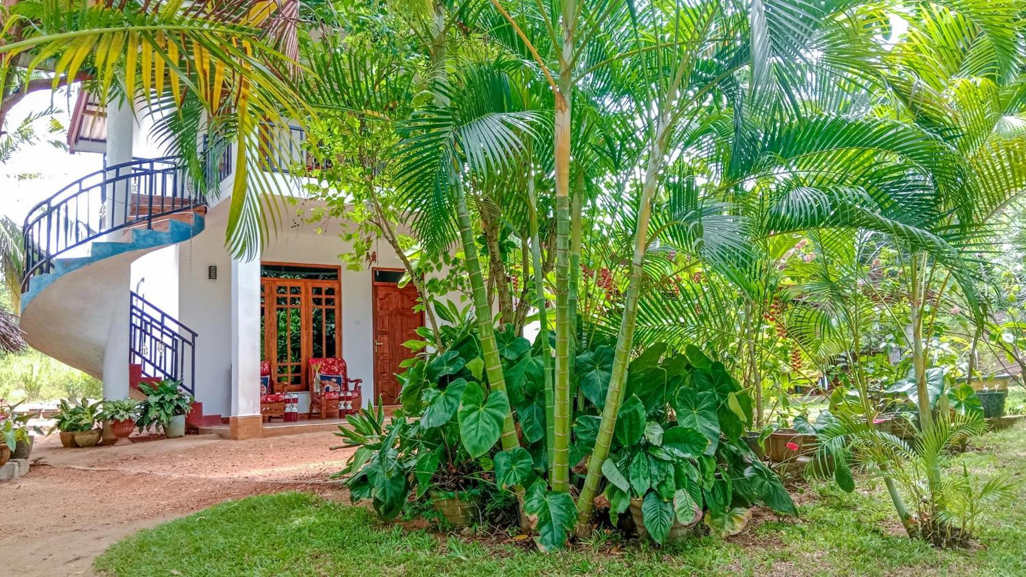 Gimhana Homestay Sigiriya Dış mekan fotoğraf
