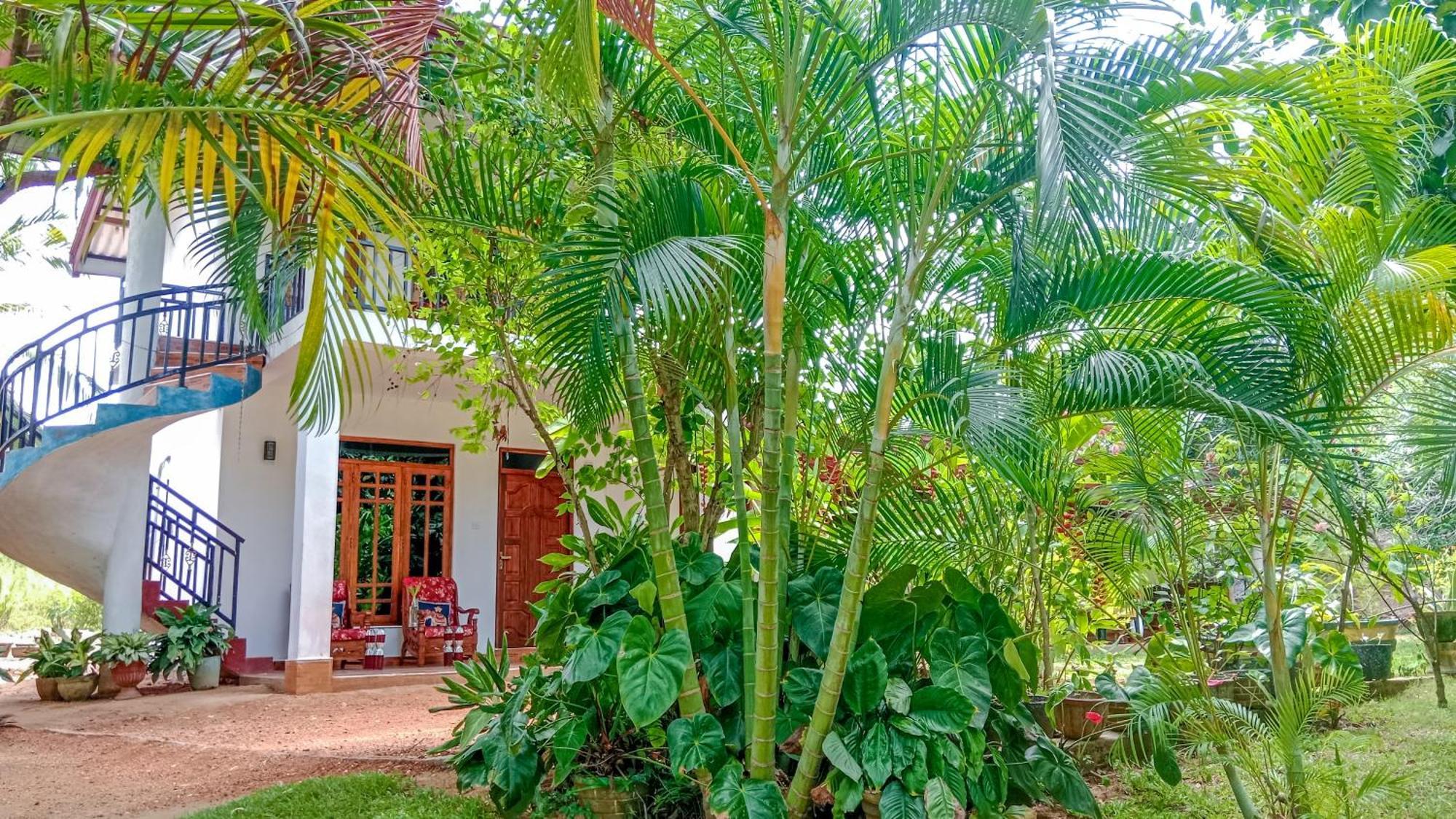 Gimhana Homestay Sigiriya Dış mekan fotoğraf